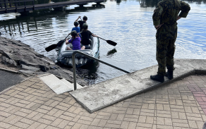 BVS15